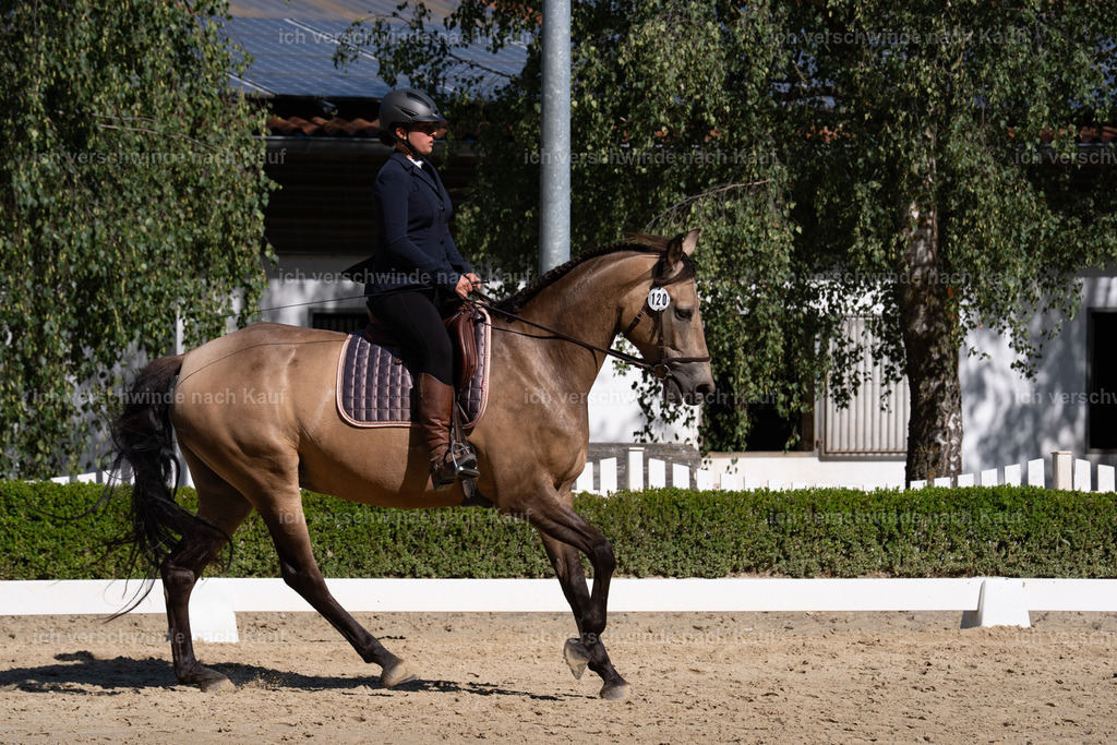 WA_DR_120_SinaFilmArt_IN01455 | working equitationturnier fotograf videograf stoibphotography marixx film working equitation deutschland reitsport turnierfotografie eventfotografie equestrian events