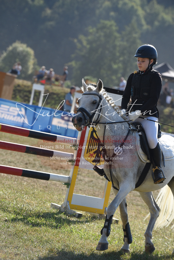 DSC_5865 | Pferde- und Turnierfotografie in Westsachsen. Pferdeportraits, Auftragszeichnungen und intuitive Kunst.