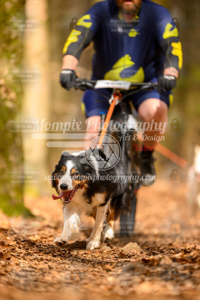 MompixPhotography_Habay2025_SA_Bike-168 | mompixphotography