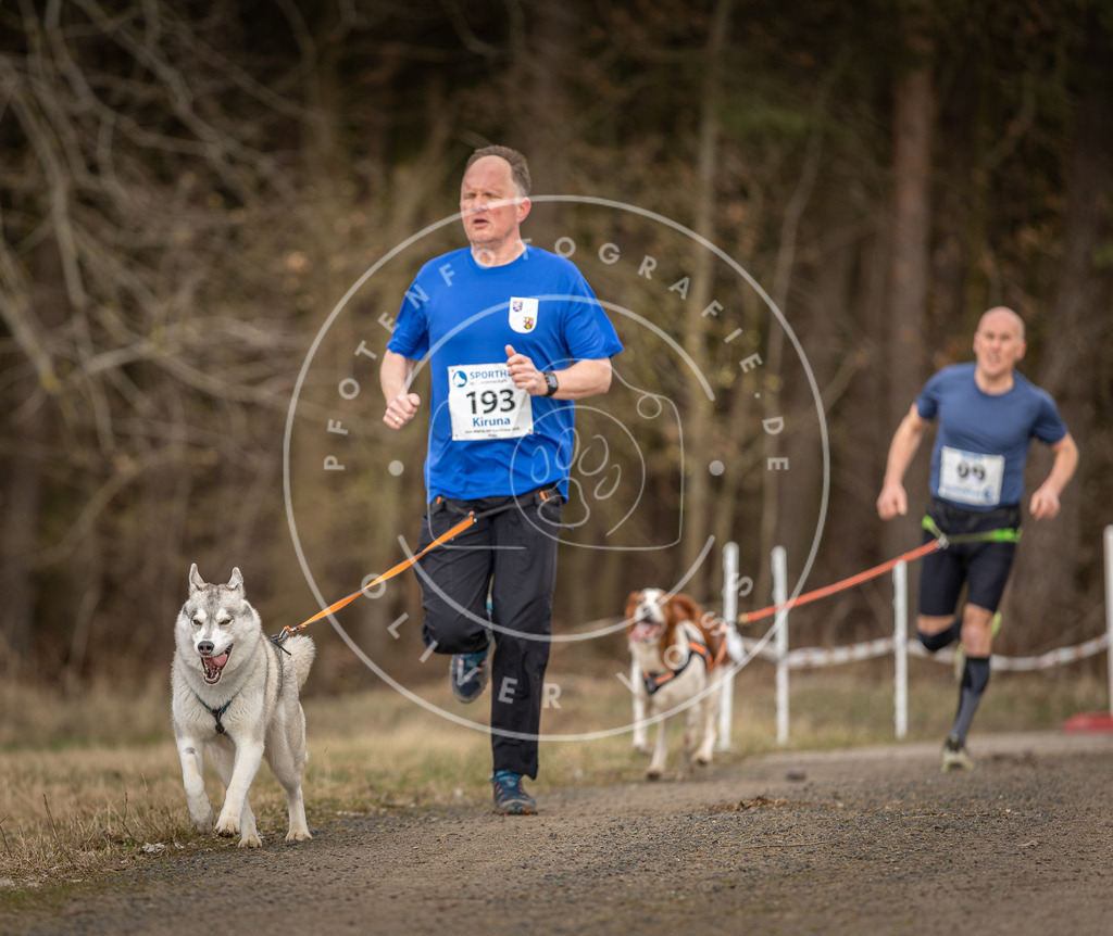 DV3A5283 | Hundefotografie, Tierfotograf, Pfotenfotografie, Fotoshooting Hund, Hunde Portrait, Hundesport, Hundeportraits, Heideshooting, Hunde, Sportfotograf, Hundefotograf, Turnierhundsport, THS,  - Realisiert mit Pictrs.com