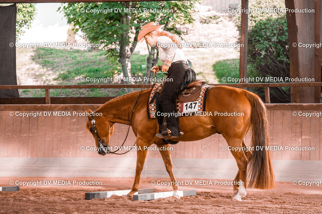 NE300150 | dv-media-shop - Realisiert mit Pictrs.com