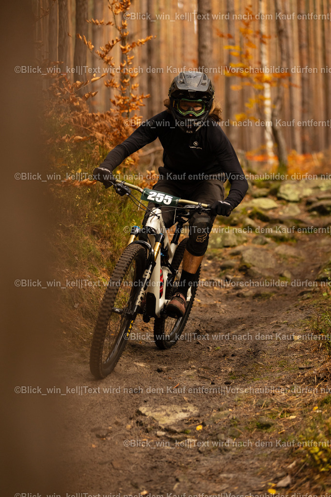 E68A2827 | blick_win_kel