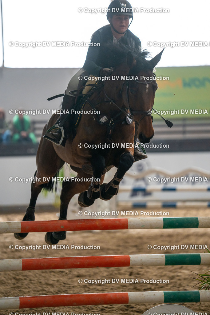 Kranichstein Tag 2-343 | dv-media-shop - Realisiert mit Pictrs.com