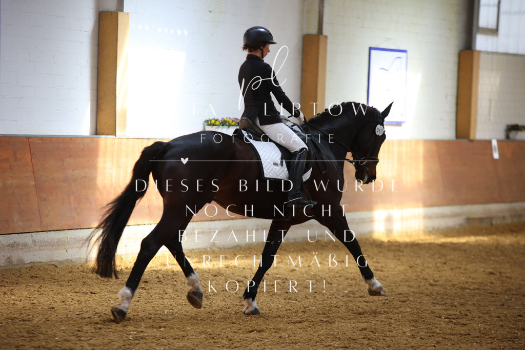 IMGT4515 | pl-fotografie