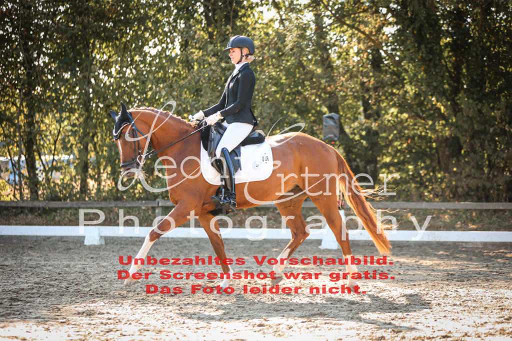 02.SaDrA00220 | Leoni Ertmer Photography - Realisiert mit Pictrs.com