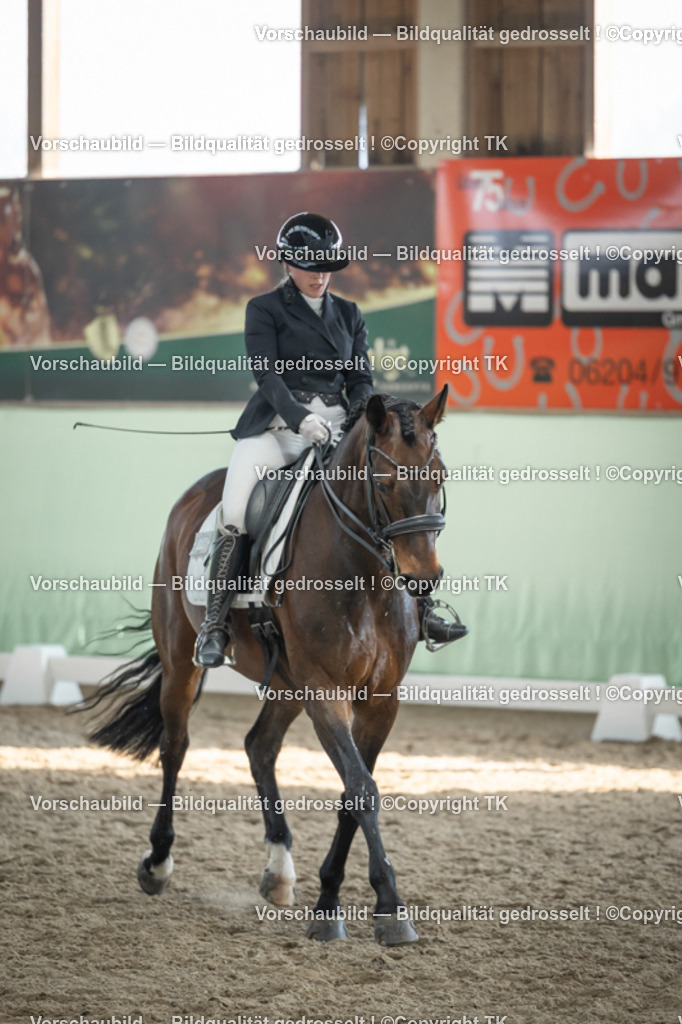 _D5A3037 | Emotionale Pferde- & People-Fotografie rund um Heidelberg, Leimen & Umgebung. Natürliche Fotos von Pferd, Mensch & Familie. Jetzt Termin sichern!