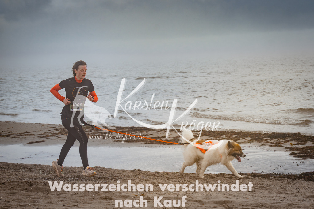 1124_ZZ98176 | kk-dogfotos