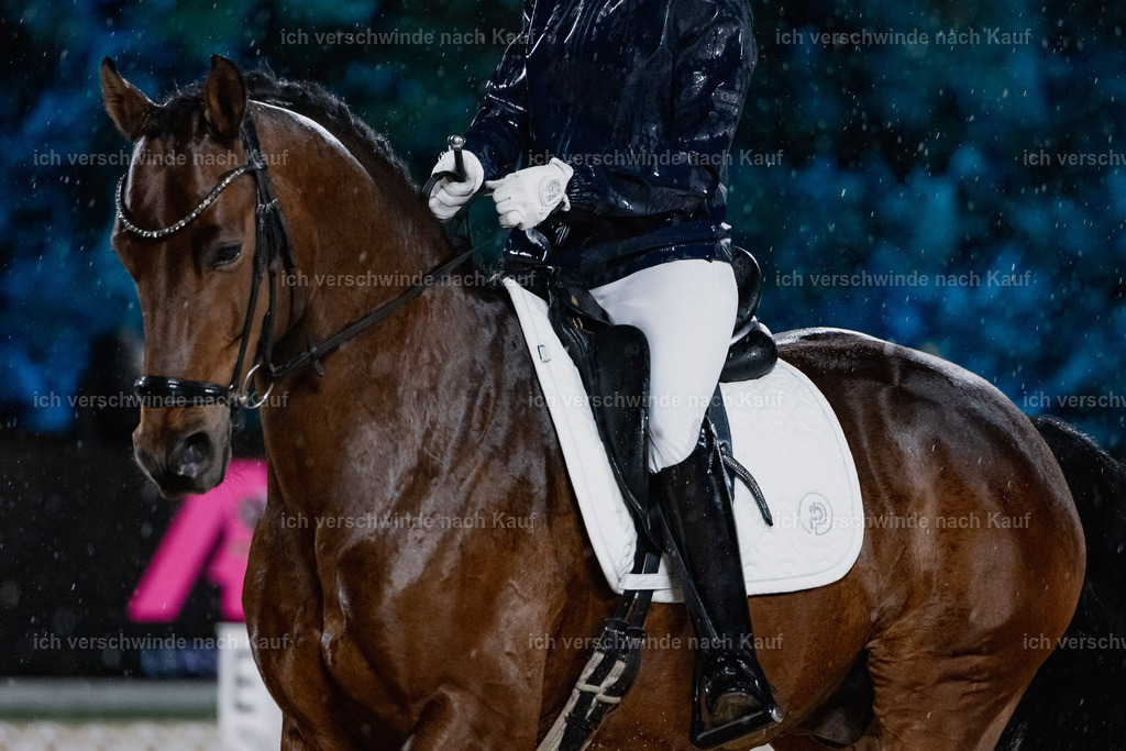 FHClassics-85 | working equitationturnier fotograf videograf stoibphotography marixx film working equitation deutschland reitsport turnierfotografie eventfotografie equestrian events
