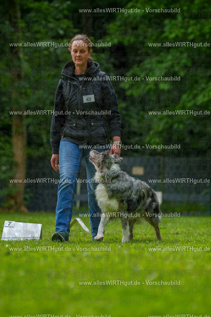 @allesWIRTHgut_Tierfotografie - www.allesWIRTHgut.de - 7R502055 | Professionelle Tierfotografie in Mönchengladbach von Daniel Wirth (allesWIRTHgut). Liebevolle & natürliche Bilder von Hunden & Katzen für unvergessliche Erinnerungen.