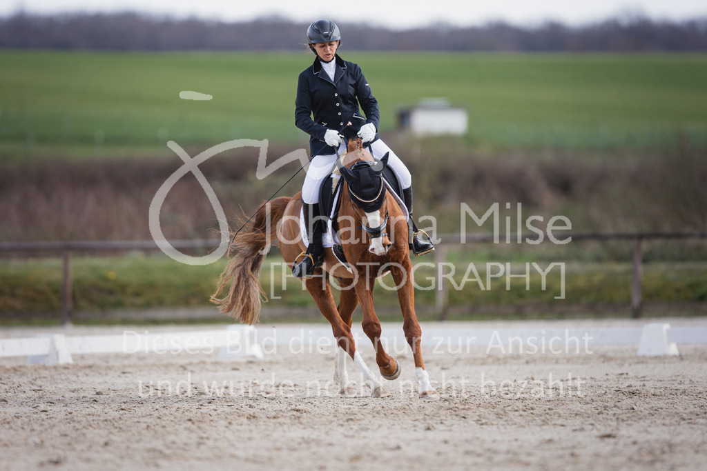 230410_Frühlingsfest_Dressurreiter-L-706 | Deine schönsten Turniermomente als professionelle Fotos! Entdecke hochwertige Pferdesport-Fotografie im Online-Shop. Jetzt Fotos finden & bestellen!