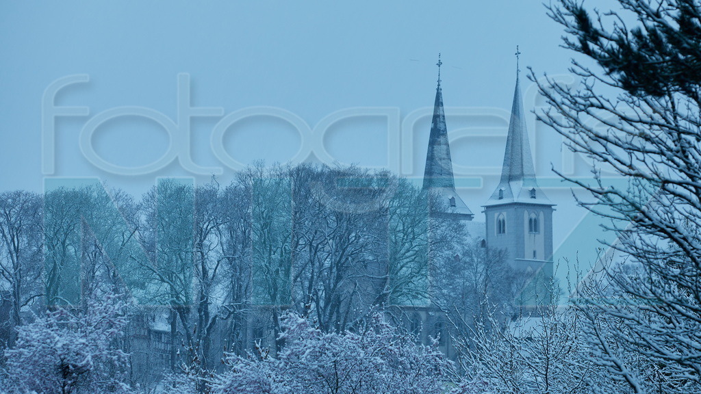 2022-04-02 05-54-10_5D423028 | Nitz Fotografie aus Montabaur bietet Ihnen hier die Möglichkeit Bilder auszusuchen und zu bestellen. 