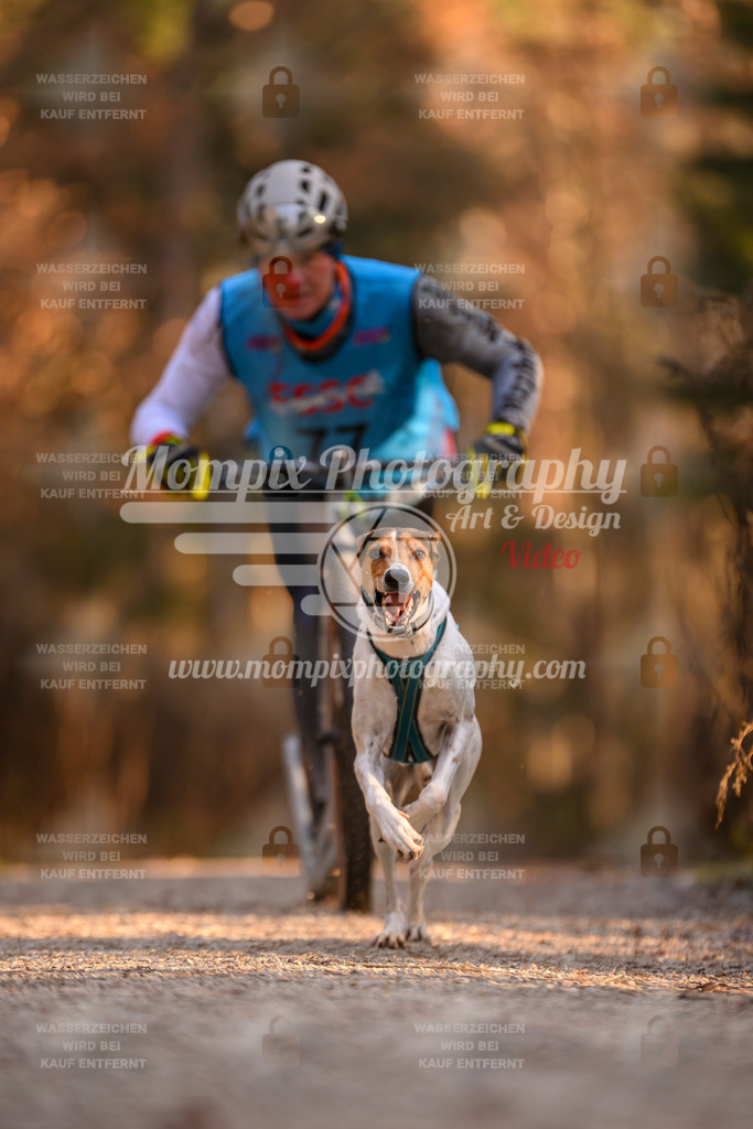 MompixPhotography_DM_AKDM_SO_2025_Scooter-172 | PayLife