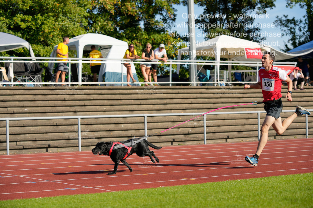 Sonntag_Staffel (177 von 336) | stephaniefillaphotographie - Realisiert mit Pictrs.com