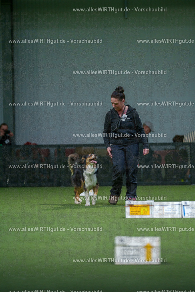 7R506916 | Professionelle Tierfotografie in Mönchengladbach von Daniel Wirth (allesWIRTHgut). Liebevolle & natürliche Bilder von Hunden & Katzen für unvergessliche Erinnerungen.