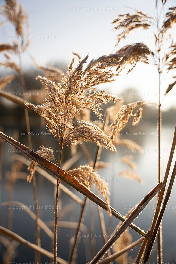 agra-Park | Leipzig Wandbilder Drucke Prints Leinwand Stadtmotive Leipzig Fotosdruck Kunstdrucke Bilder Leipzig Stadtansichten Acrylglasbilder Leipzig Wanddeko Fine Art Prints Wandbilder Büro Leipzig Bilder Praxis Zuhause Bilderdruck Poster Posterlounge Kunstdrucke - Realisiert mit Pictrs.com