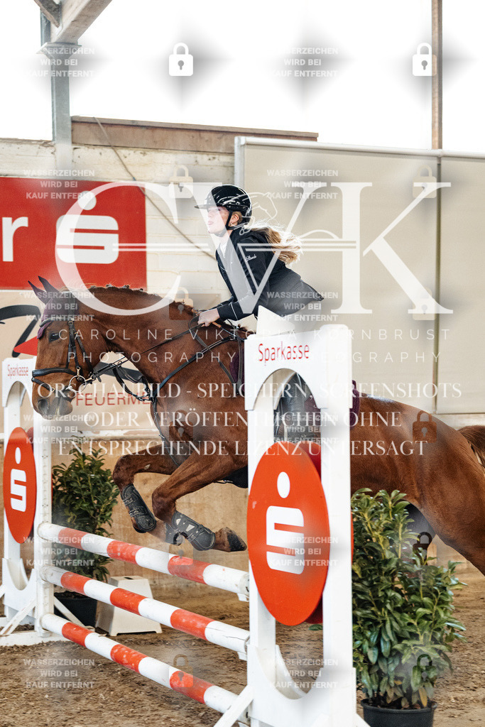 CK904722 | Turnierfotografie Pferdefotografie Trier Rheinland-Pfalz Pferdesport Reitsport Tierfotografie Sportfotografie Pferdevideo Pferdevideografie Equestrianvideography equestrianphotography  - Realized with Pictrs.com