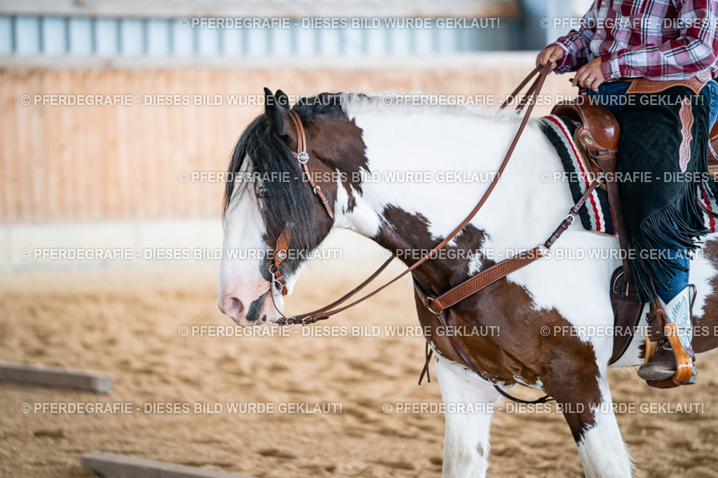 DSC08520 | Pferdegrafie