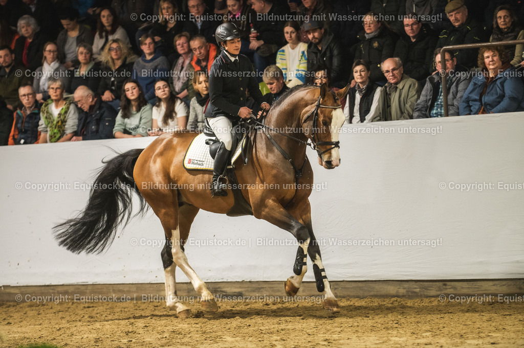 20240302_Hengstvorstellung_Marbach_TOMsPiC_0492 | equistock