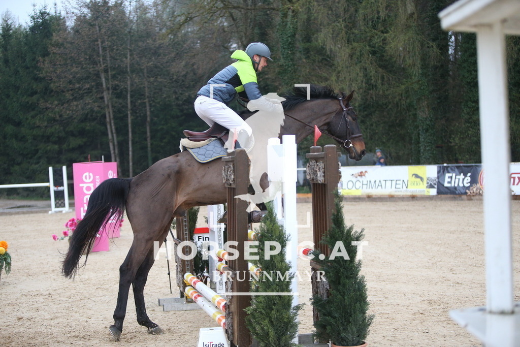 AS8V1226 | Willkommen bei Brunnmayr - Design & Fotografie – Ihrem Spezialisten für Reitturniere und Pferdeveranstaltungen in Oberösterreich, Salzburg und Bayern! Seit über 17 Jahren sind wir leidenschaftlich dabei.
