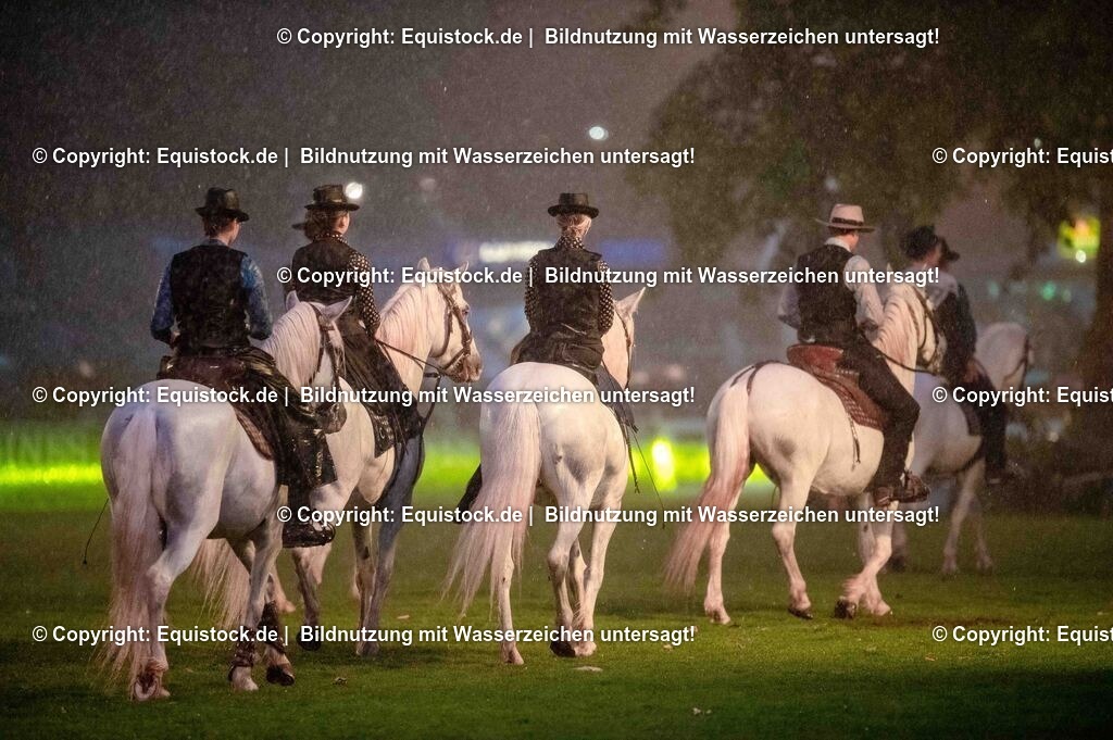 20250606_Lange-Pferdenacht_1170 | Foto: Thomas Hartig