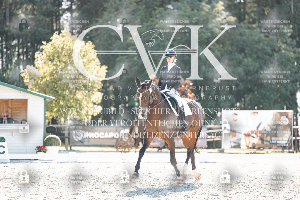 CK906476 | Turnierfotografie Pferdefotografie Trier Rheinland-Pfalz Pferdesport Reitsport Tierfotografie Sportfotografie Pferdevideo Pferdevideografie Equestrianvideography equestrianphotography  - Realisiert mit Pictrs.com