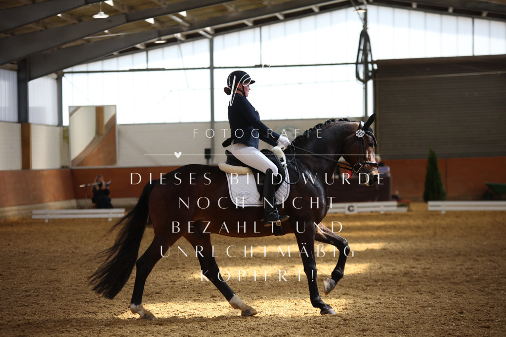 IMGT4820 | pl-fotografie