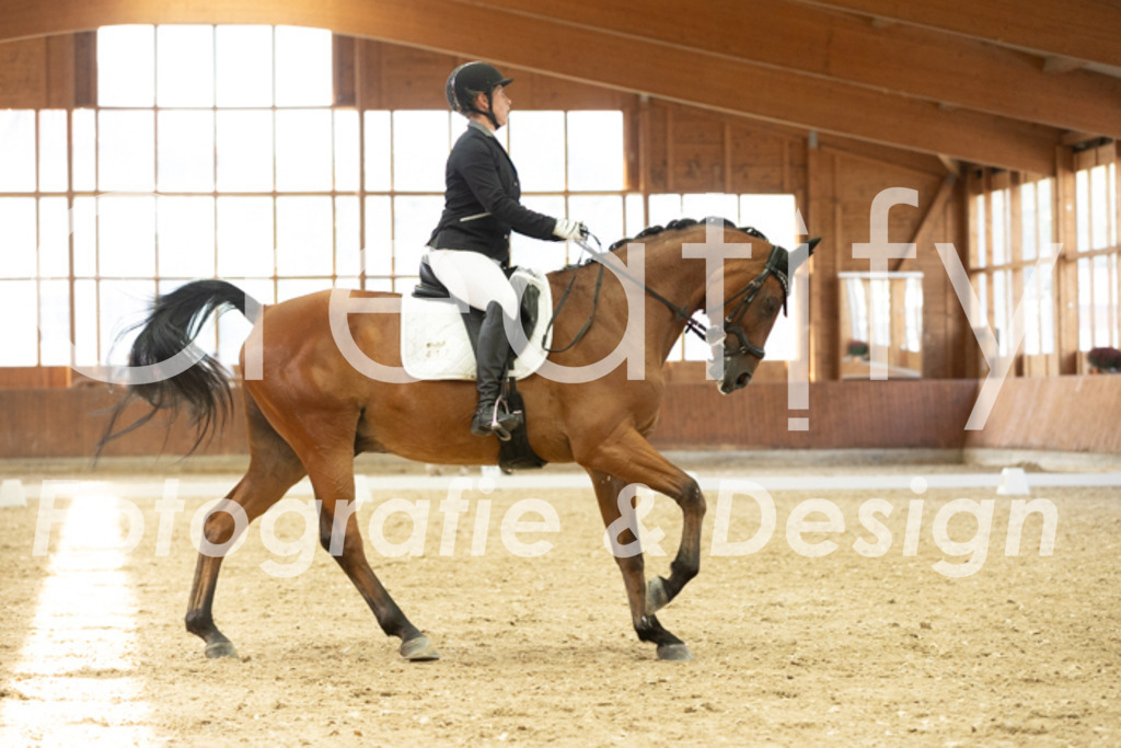 IMG_1765 | Creatify Fotografie