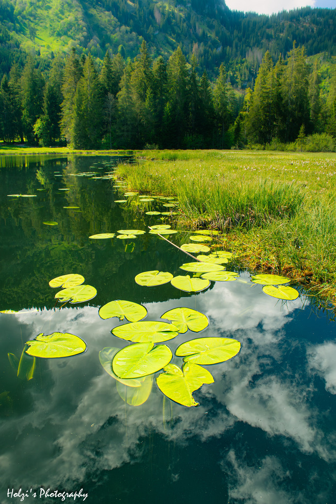 Schwändisee | Holzisphotography, Landschaftsfotografie, Wildlifefotogorafie - Realisiert mit Pictrs.com