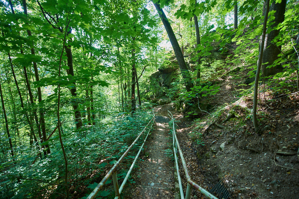 Im NSG _Hartensteiner Wald_ 02 | Bedeutsame Landschaften Deutschlands - Realisiert mit Pictrs.com