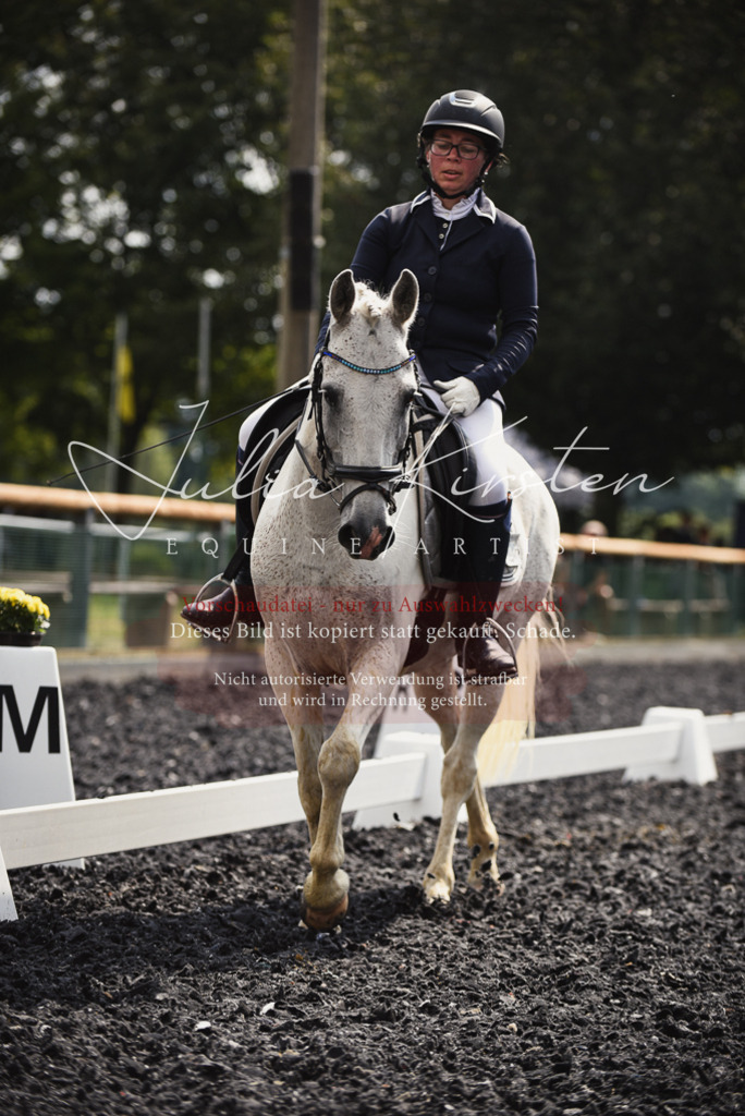 DSC_3906 | Pferde- und Turnierfotografie in Westsachsen. Pferdeportraits, Auftragszeichnungen und intuitive Kunst.