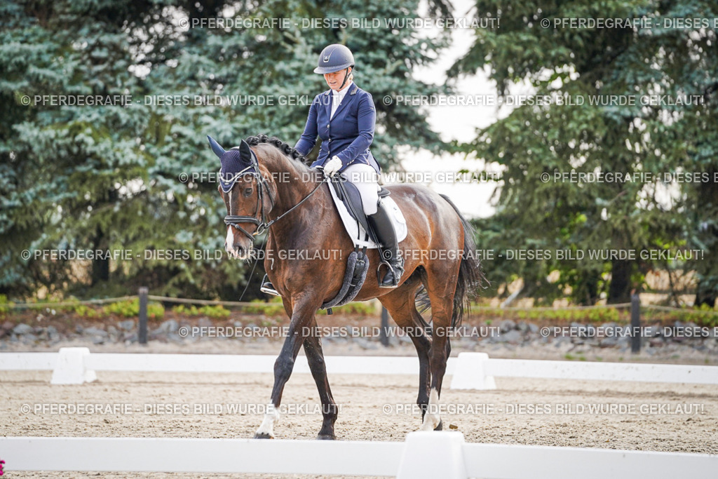 DSC00169 | Pferdegrafie