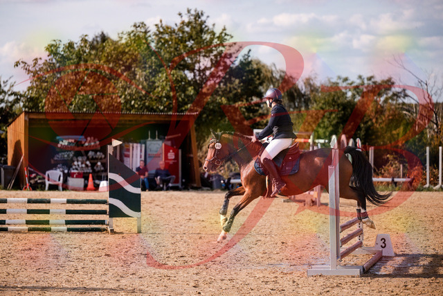 2026_10_03_Siefer-Hof_155332_Z81_73061372 | Professionelle Reitsport-, Turnier- und Eventfotografie von Robert Broda. Galerien mit ausgewählten und bearbeiteten Bildern direkt online ansehen und bestellen.