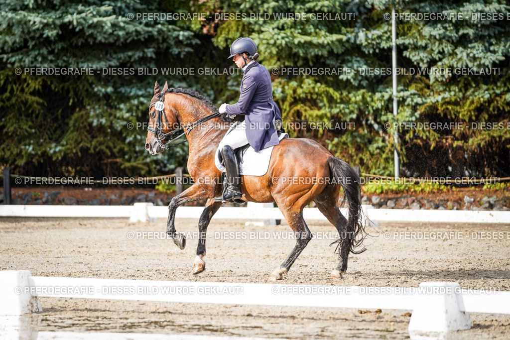 DSC00335 | Pferdegrafie