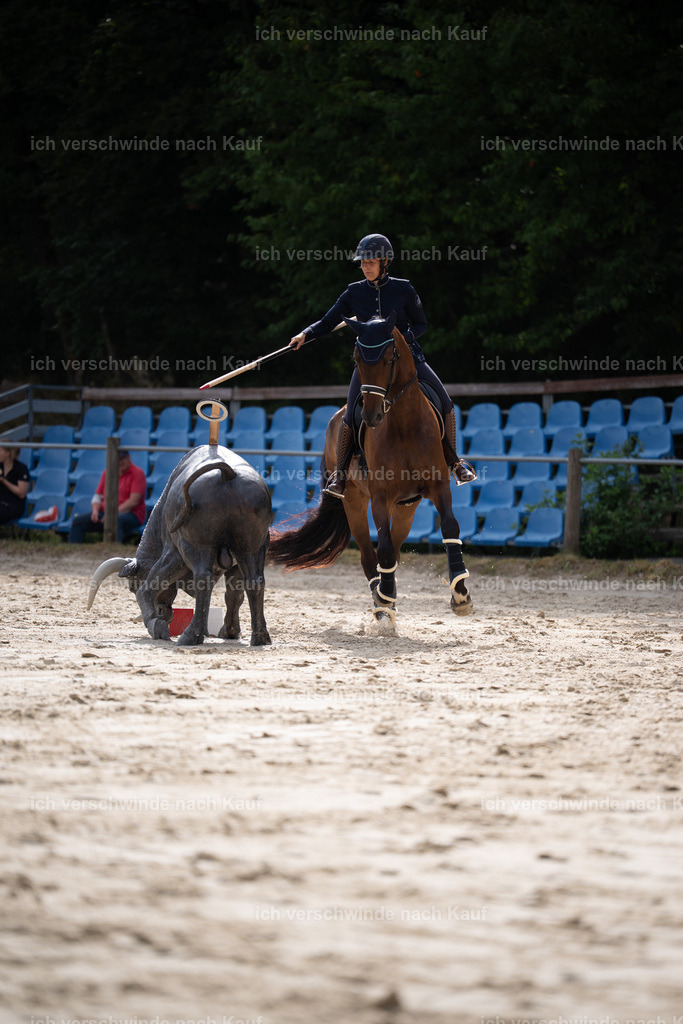 WL_ST_41_stoibphotography_4 | working equitationturnier fotograf videograf stoibphotography marixx film working equitation deutschland reitsport turnierfotografie eventfotografie equestrian events