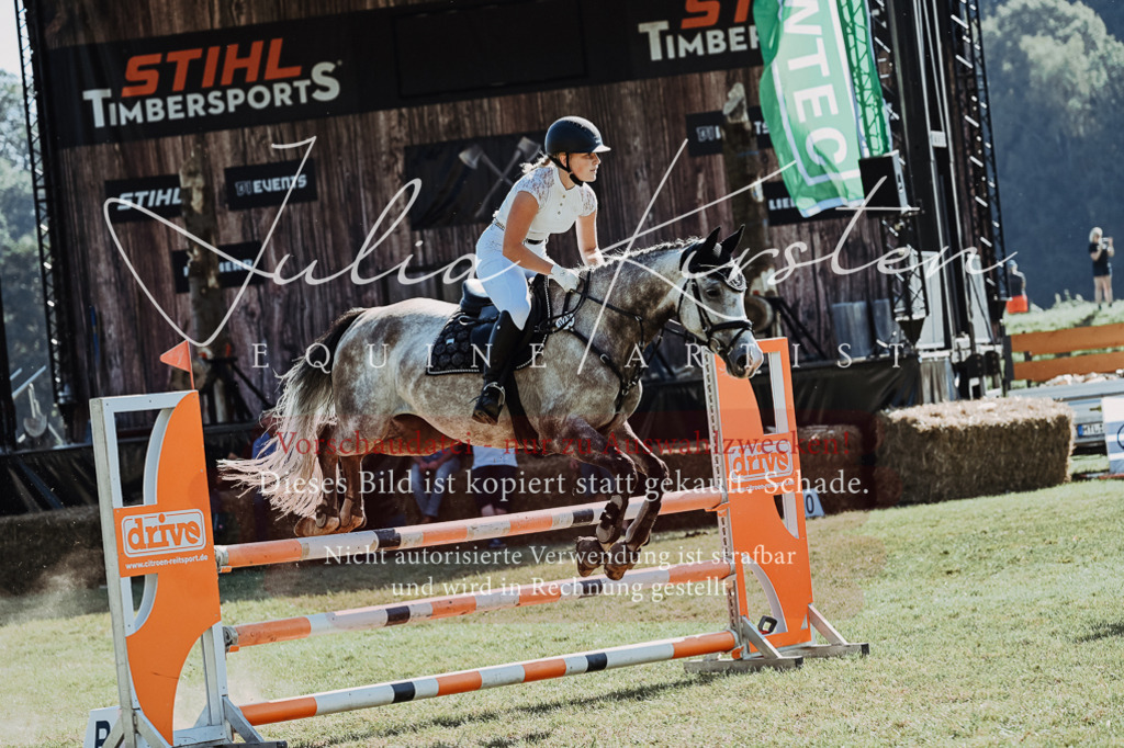 DSC_5520 | Pferde- und Turnierfotografie in Westsachsen. Pferdeportraits, Auftragszeichnungen und intuitive Kunst.