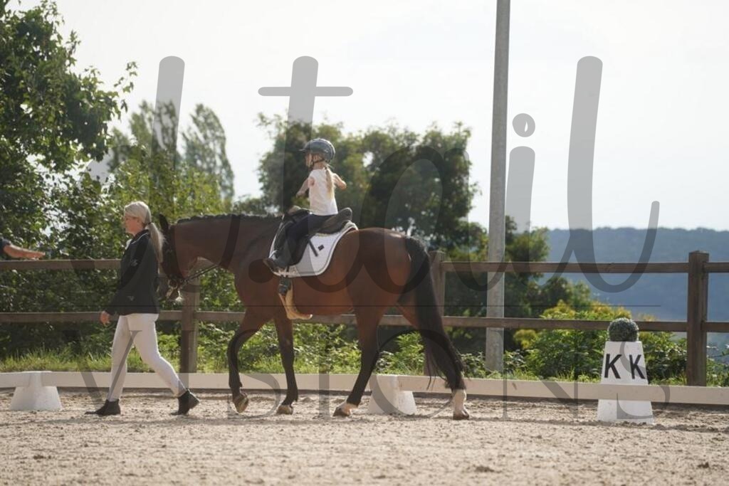 tgbhsamstag (2406) | d.tail Visions - Shop - Realisiert mit Pictrs.com