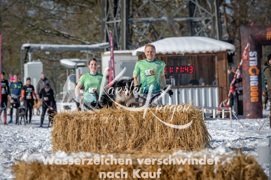 1112_ZZ90538-3 | kk-dogfotos