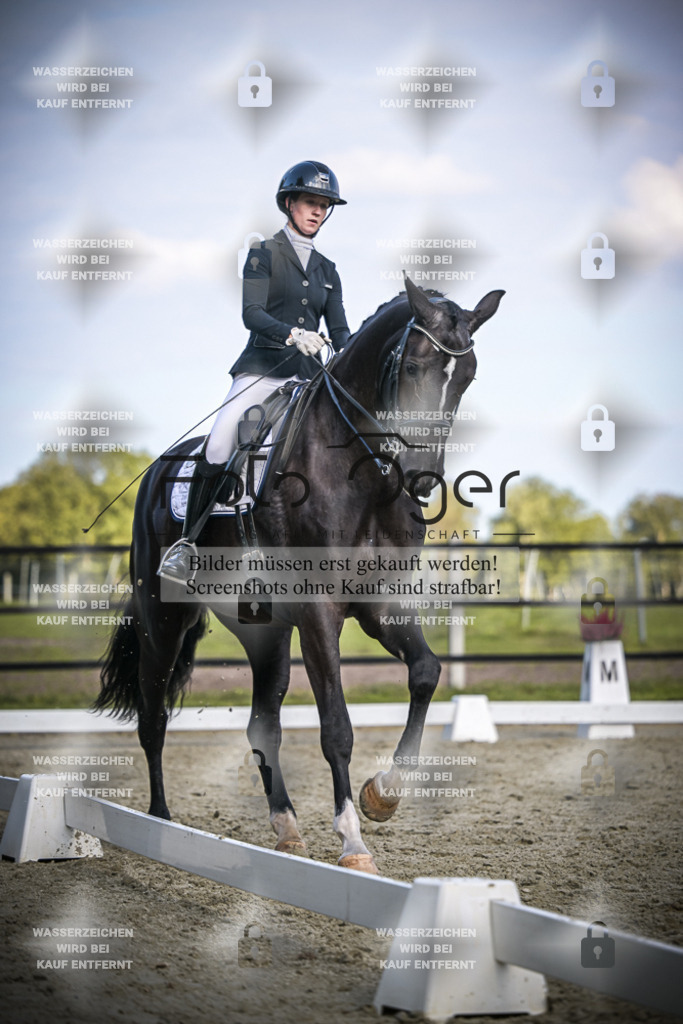 DOS_4380 | Entdecke hochwertige Reitturnierfotos von Foto Oger. Professionell, emotional und authentisch – jetzt Lieblingsmomente im Shop bestellen.Deutschlandweite Turnierfotografie. - Realisiert mit Pictrs.com