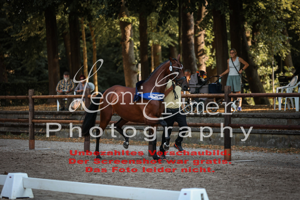 DoER00120 | Leoni Ertmer Photography - Realisiert mit Pictrs.com