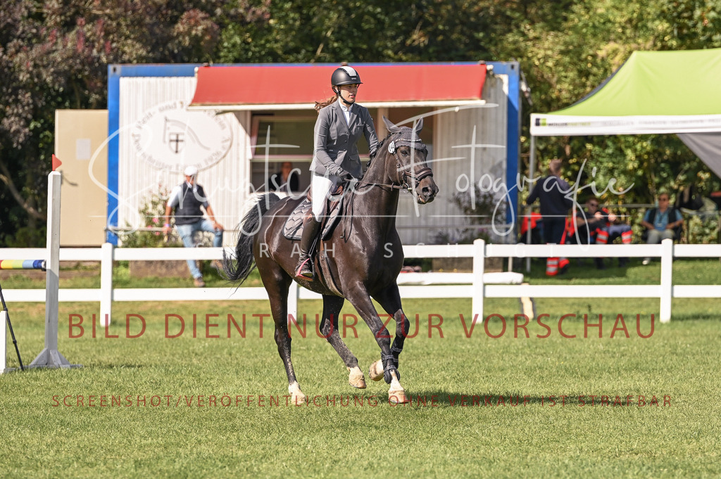 Schugtsche-Düren.2024-08.Amat.Springprf.L-5 | Schugtsche Fotografie - Realisiert mit Pictrs.com