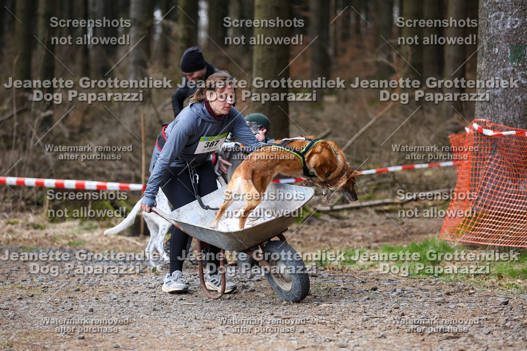 Dog Paparazzi - VCC26-727 | Dog Paparazzi Jeanette Grottendiek Fotografie & Videografie - Realisiert mit Pictrs.com