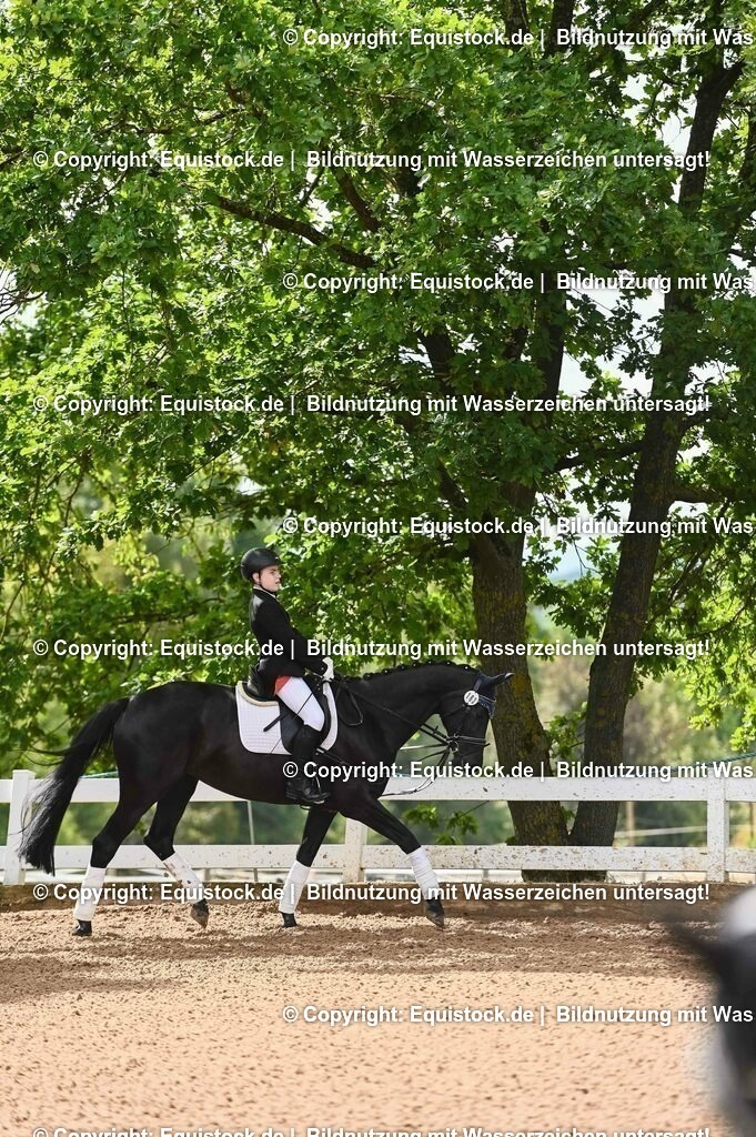 20230716_10-1_Reiter-WB Schritt - Trab - Galopp_0150 | equistock