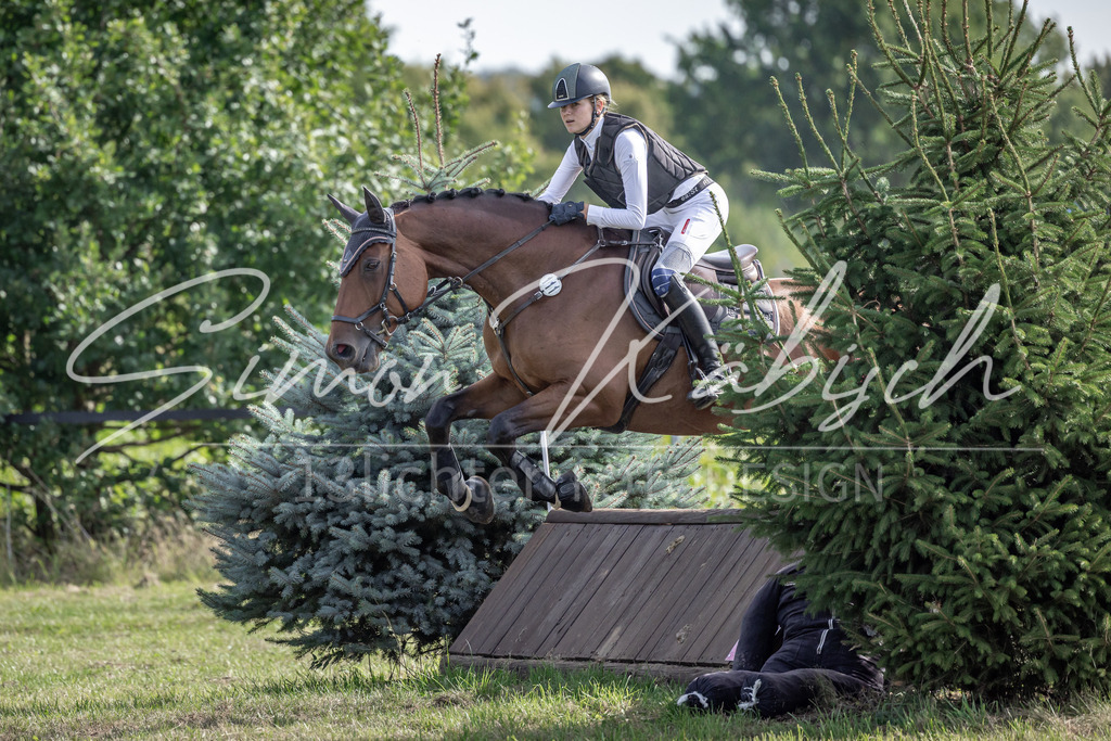20250907-_3LI9450 | Tierfotografie Pferde, Hunde, Katzen, Haustiere.
Turnierfotografie Reitturniere, Reiten, Springreiten, Dressur in Hanau, dem Main-Kinzig-Kreis und dem Rhein-Main- Gebiet um Frankfurt