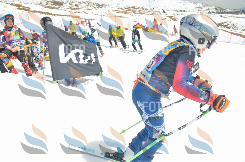 _ELE7038 | holidayphoto