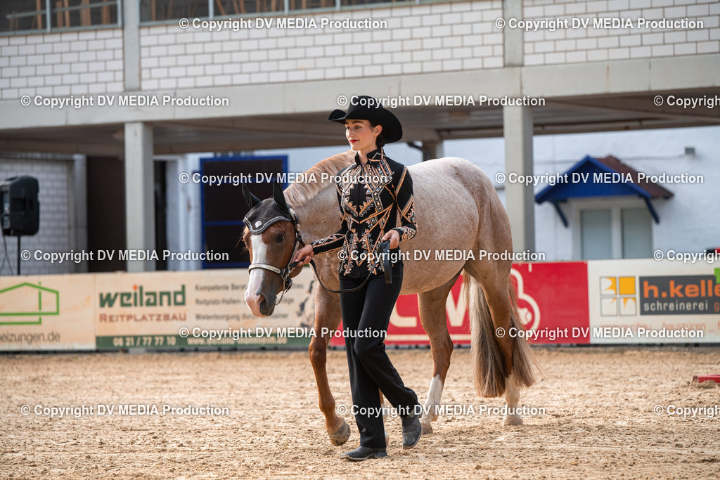 EWP_5616 | dv-media-shop - Realisiert mit Pictrs.com