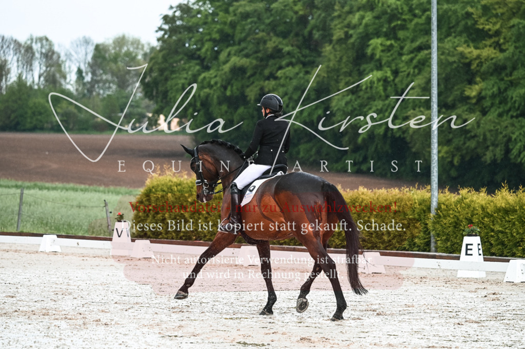 DSC_4201 | Pferde- und Turnierfotografie in Westsachsen. Pferdeportraits, Auftragszeichnungen und intuitive Kunst.