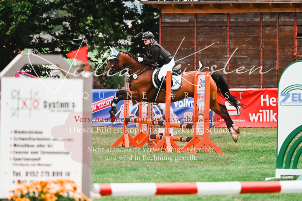DSC_6044 | Pferde- und Turnierfotografie in Westsachsen. Pferdeportraits, Auftragszeichnungen und intuitive Kunst.