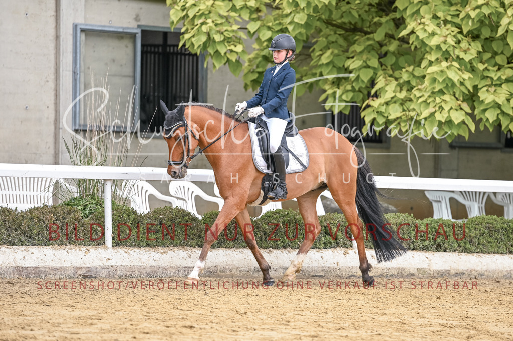 Schugtsche-Aluta25-43.EDressur -218 | Schugtsche Fotografie - Realisiert mit Pictrs.com