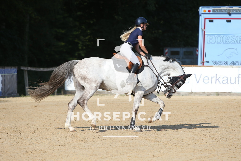 DL2Q0160 | Willkommen bei Brunnmayr - Design & Fotografie – Ihrem Spezialisten für Reitturniere und Pferdeveranstaltungen in Oberösterreich, Salzburg und Bayern! Seit über 17 Jahren sind wir leidenschaftlich dabei.