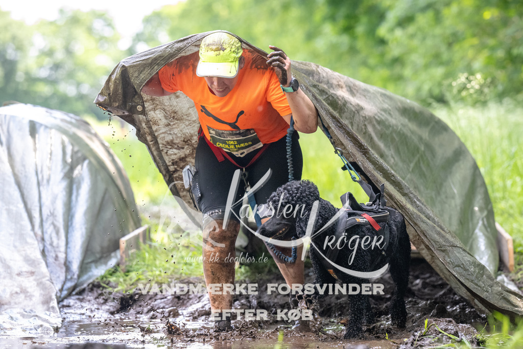 1208_ZZ91484 | kk-dogfotos